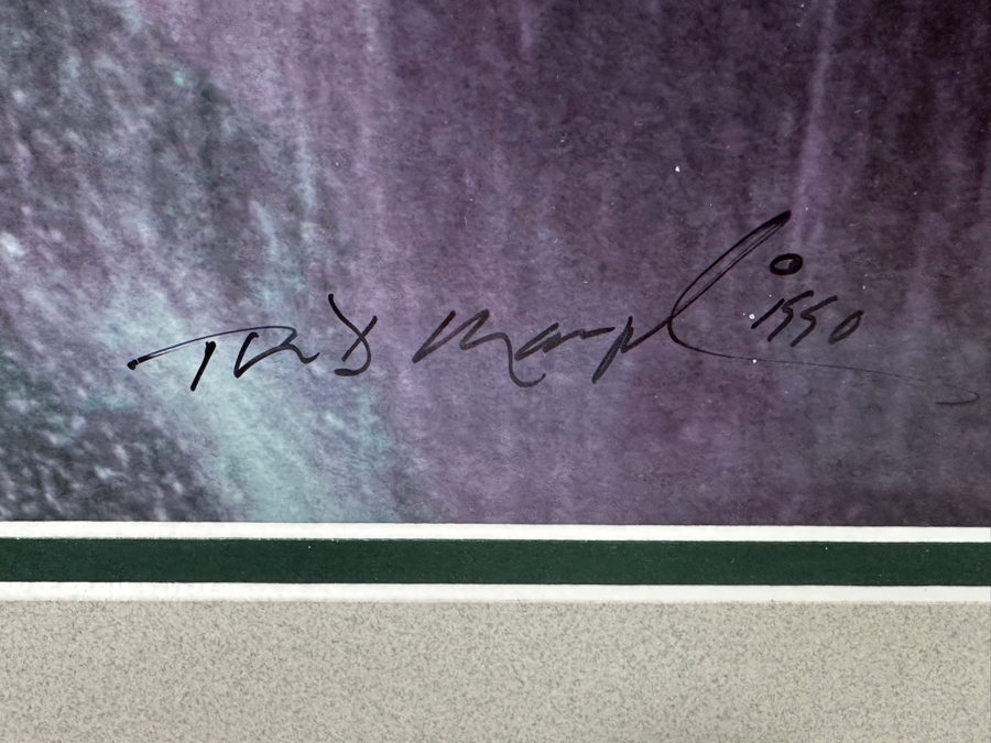 Just Added - Thomas D. Mangelsen (B. 1946, American) Colorado River Spring Fine Art Photograph Royal Arch Creek, Grand Canyon, Arizona 20'W X 30'H Framed 30.5' X 40.5' Retails $1,899 [Photo 12]