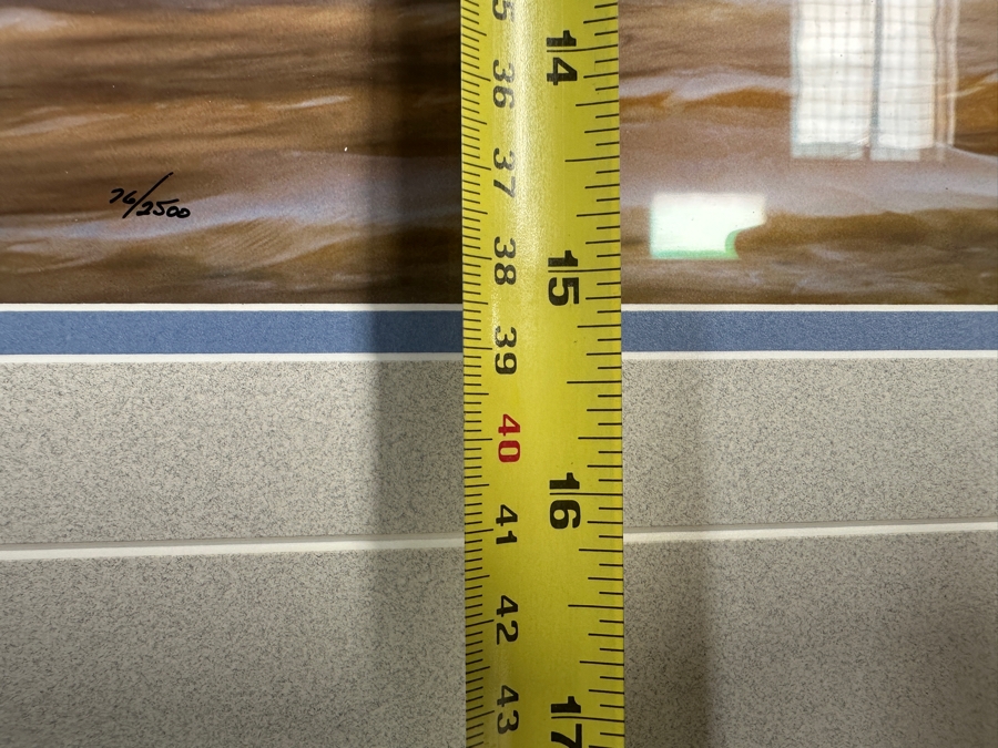 Just Added - Thomas D. Mangelsen (B. 1946, American) Paradise Found Fine Art Photograph La Digue Island, Seychelles, Indian Ocean 47'W X 16'H Framed 60' X 29' Retails $2,699 [Photo 15]