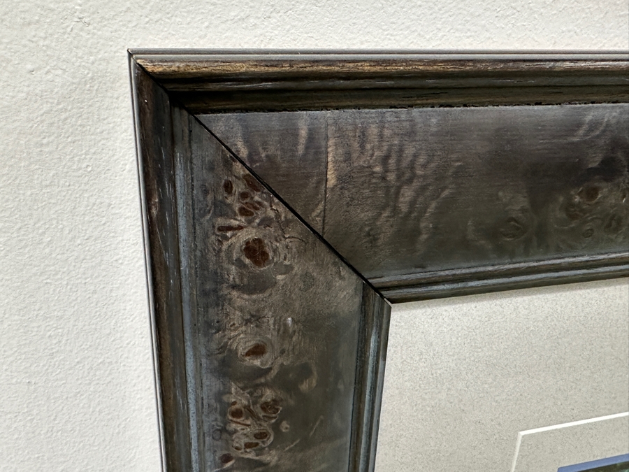 Just Added - Thomas D. Mangelsen (B. 1946, American) Paradise Found Fine Art Photograph La Digue Island, Seychelles, Indian Ocean 47'W X 16'H Framed 60' X 29' Retails $2,699 [Photo 5]