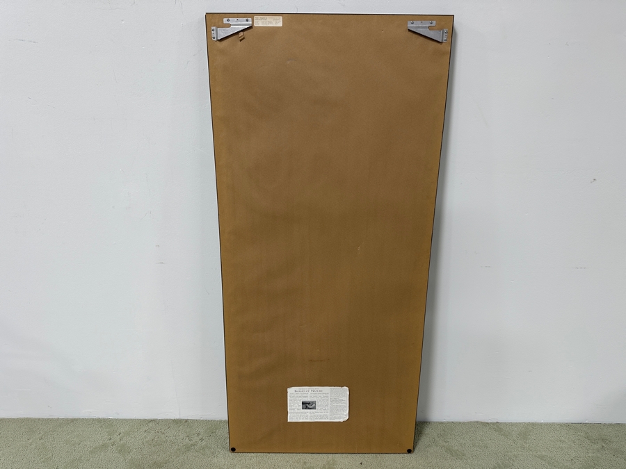 Just Added - Thomas D. Mangelsen (B. 1946, American) Rising From The Mist Fine Art Photograph Redwood National Park, California 16'W X 47'H Framed 26.5' X 57.5' Retails $5,999 [Photo 4]