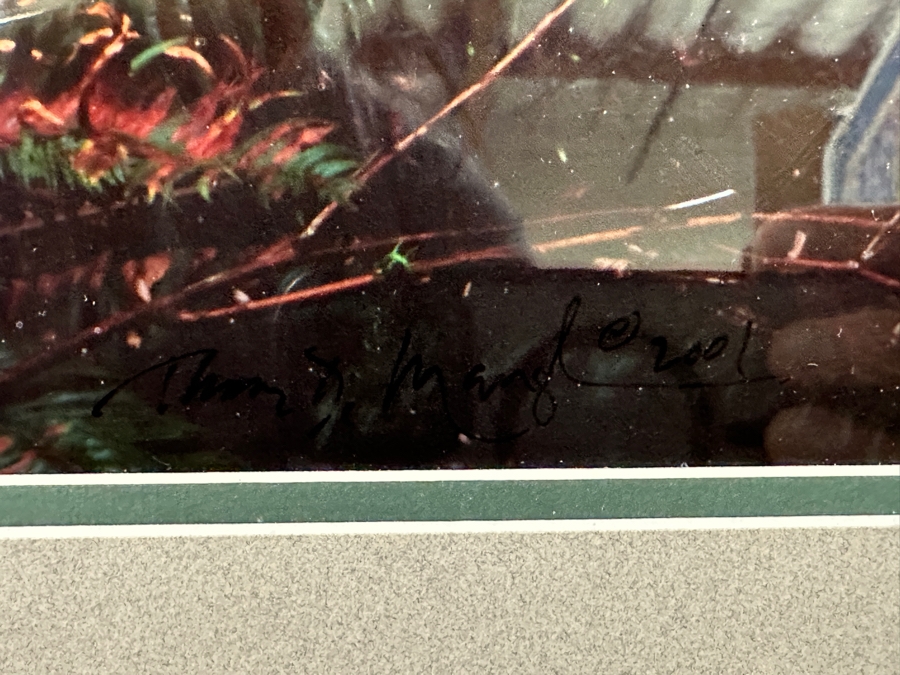 Just Added - Thomas D. Mangelsen (B. 1946, American) Rising From The Mist Fine Art Photograph Redwood National Park, California 16'W X 47'H Framed 26.5' X 57.5' Retails $5,999 [Photo 12]