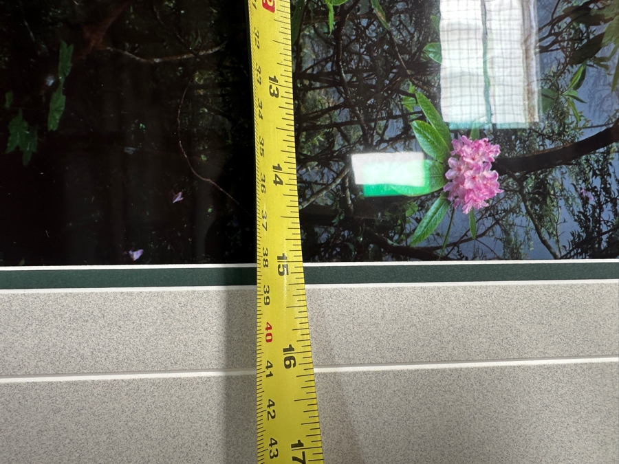 Just Added - Thomas D. Mangelsen (B. 1946, American) Rising From The Mist Fine Art Photograph Redwood National Park, California 16'W X 47'H Framed 26.5' X 57.5' Retails $5,999 [Photo 16]