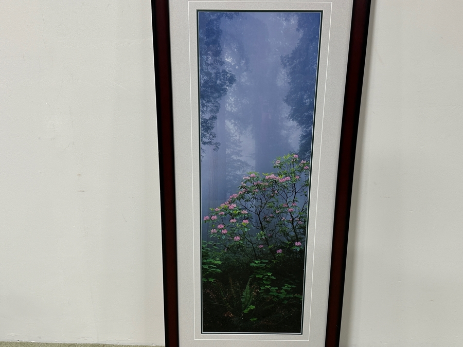Just Added - Thomas D. Mangelsen (B. 1946, American) Rising From The Mist Fine Art Photograph Redwood National Park, California 16'W X 47'H Framed 26.5' X 57.5' Retails $5,999 [Photo 2]