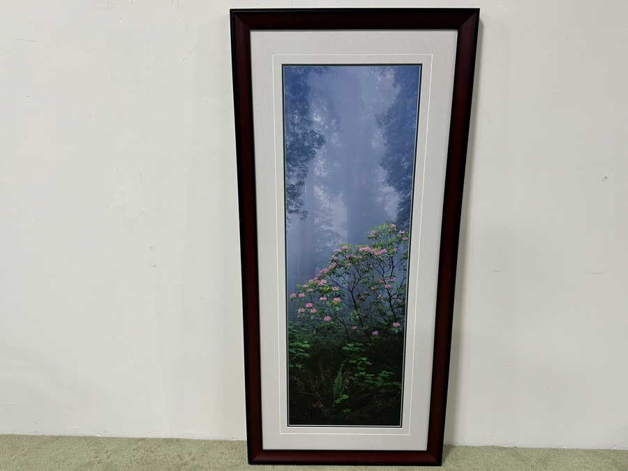 Just Added - Thomas D. Mangelsen (B. 1946, American) Rising From The Mist Fine Art Photograph Redwood National Park, California 16'W X 47'H Framed 26.5' X 57.5' Retails $5,999 [Photo 15]