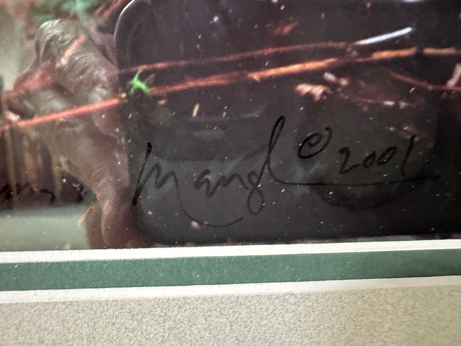 Just Added - Thomas D. Mangelsen (B. 1946, American) Rising From The Mist Fine Art Photograph Redwood National Park, California 16'W X 47'H Framed 26.5' X 57.5' Retails $5,999 [Photo 11]