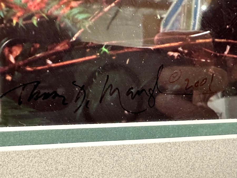 Just Added - Thomas D. Mangelsen (B. 1946, American) Rising From The Mist Fine Art Photograph Redwood National Park, California 16'W X 47'H Framed 26.5' X 57.5' Retails $5,999 [Photo 14]