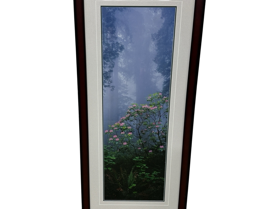Just Added - Thomas D. Mangelsen (B. 1946, American) Rising From The Mist Fine Art Photograph Redwood National Park, California 16'W X 47'H Framed 26.5' X 57.5' Retails $5,999