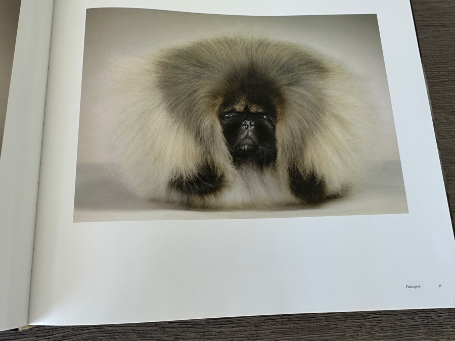 Dogs Coffee Table Book By Tim Flach Retails $50 [Photo 7]