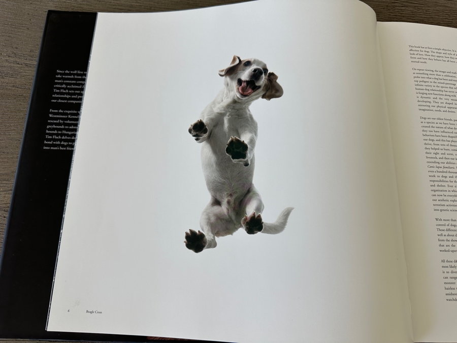 Dogs Coffee Table Book By Tim Flach Retails $50 [Photo 5]