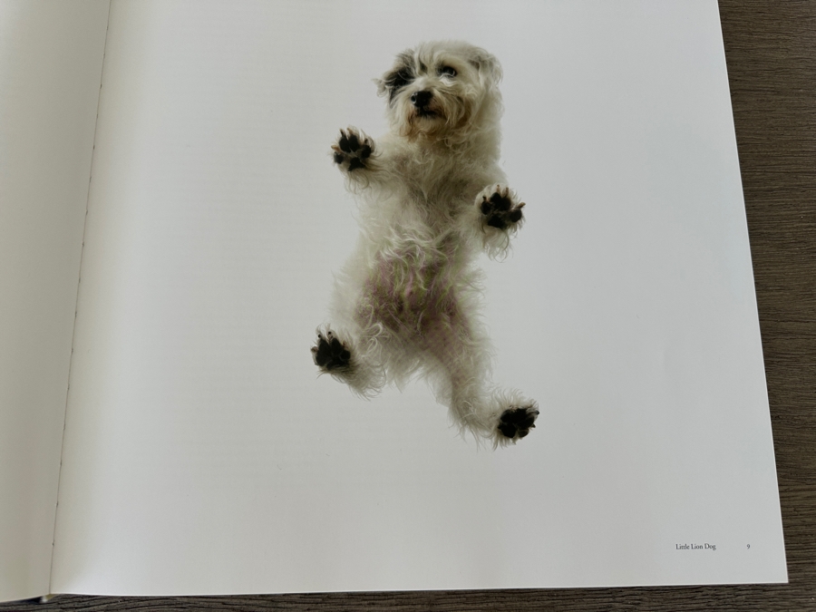 Dogs Coffee Table Book By Tim Flach Retails $50 [Photo 6]