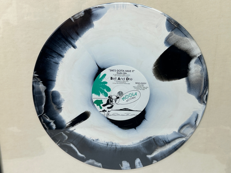 Framed Bell And Dre 'She's Gotta Have It' Radio Mix Vinyl Record Moola Records 1991 Pop Art Film Factory With Check Framed 18 X 24 (Glass Has Crack) [Photo 3]