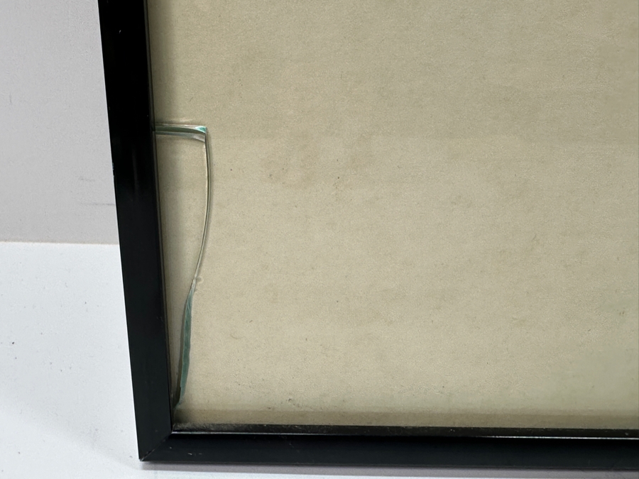 Framed Bell And Dre 'She's Gotta Have It' Radio Mix Vinyl Record Moola Records 1991 Pop Art Film Factory With Check Framed 18 X 24 (Glass Has Crack) [Photo 9]