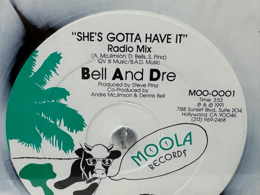 Framed Bell And Dre 'She's Gotta Have It' Radio Mix Vinyl Record Moola Records 1991 Pop Art Film Factory With Check Framed 18 X 24 (Glass Has Crack) [Photo 5]