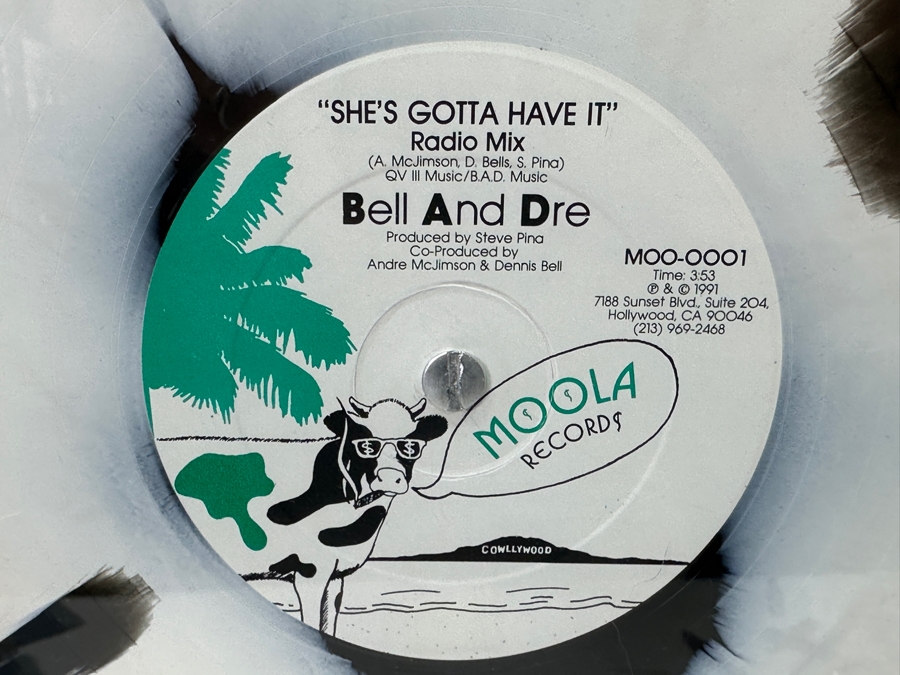 Framed Bell And Dre 'She's Gotta Have It' Radio Mix Vinyl Record Moola Records 1991 Pop Art Film Factory With Check Framed 18 X 24 (Glass Has Crack) [Photo 4]