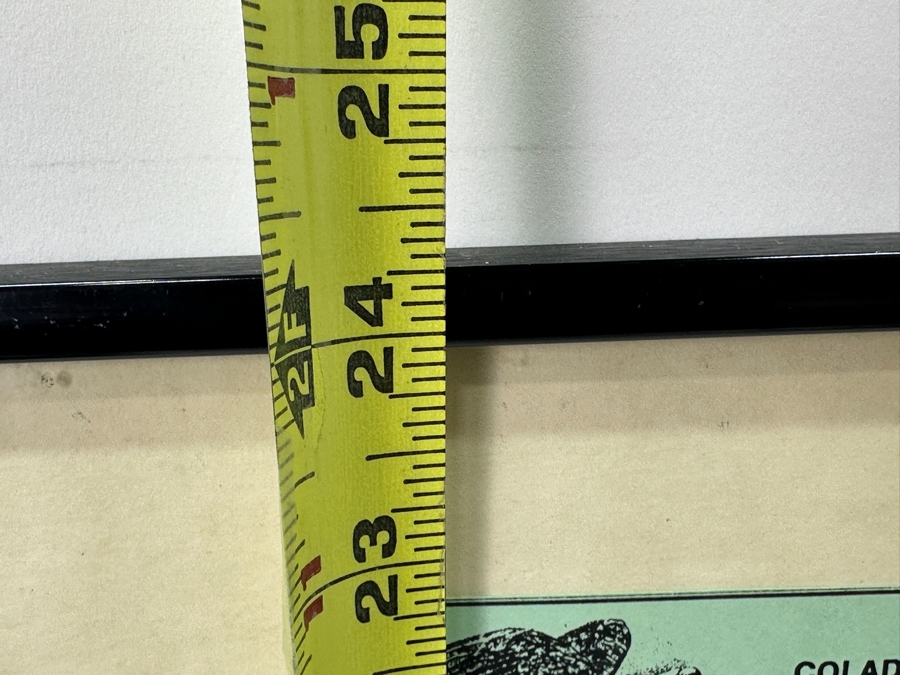 Framed Bell And Dre 'She's Gotta Have It' Radio Mix Vinyl Record Moola Records 1991 Pop Art Film Factory With Check Framed 18 X 24 (Glass Has Crack) [Photo 11]