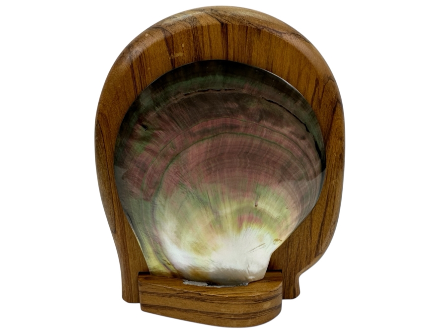 Abalone Shell Wooden Bookend 7H
