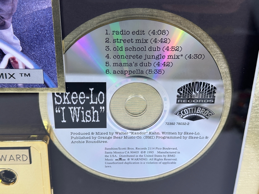 Framed Gold Sales Award Presented To Pop Art Film Factory For Selling Over 500,000 Copies Of Sunshine / Scotti Bros. Records Skee-Lo I Wish Framed 13 X 17 [Photo 5]