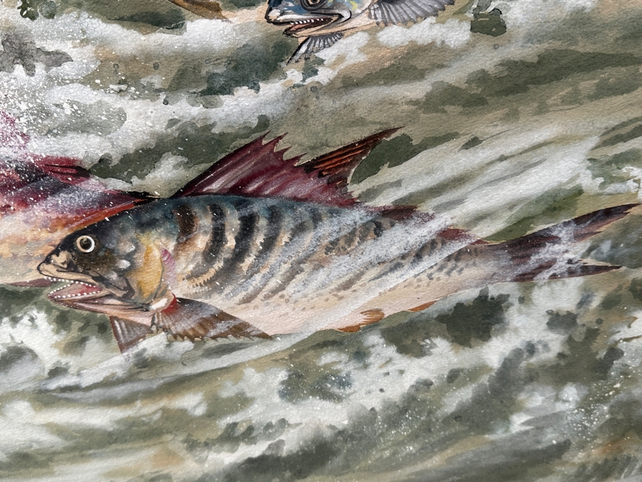 Toshio Aoki (1854-1912, Japan/California) Stunning Original Watercolor And Gouache On Paper Of Swimming Fish At Sea With Hand Carved Wooden Frame 39 X 28 Framed 46 X 35 [Photo 6]