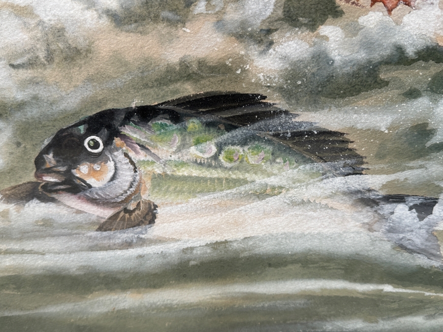 Toshio Aoki (1854-1912, Japan/California) Stunning Original Watercolor And Gouache On Paper Of Swimming Fish At Sea With Hand Carved Wooden Frame 39 X 28 Framed 46 X 35 [Photo 8]