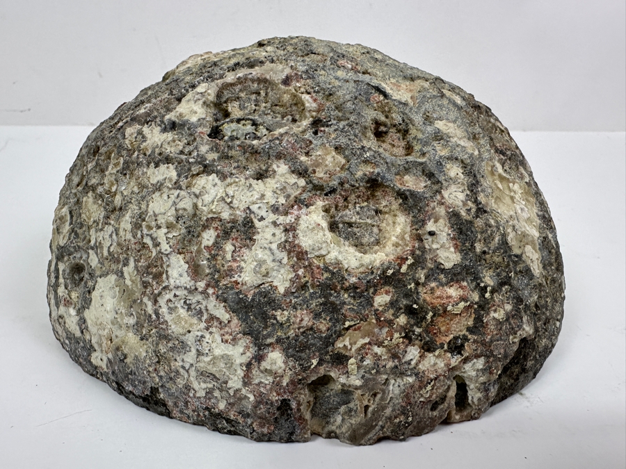 Large Polished Geode Half 7W [Photo 9]