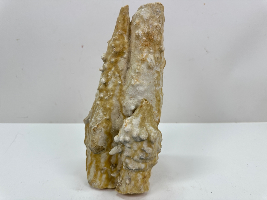 Calcite Stalagmite Specimen Organic Sculpture 9'H [Photo 6]