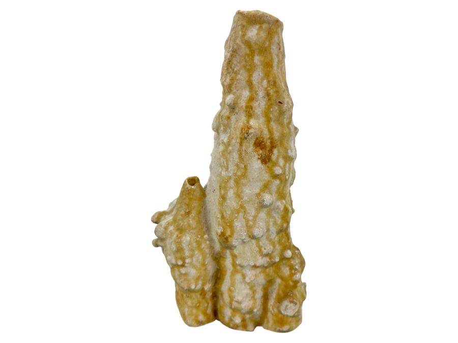 Calcite Stalagmite Specimen Organic Sculpture 9'H