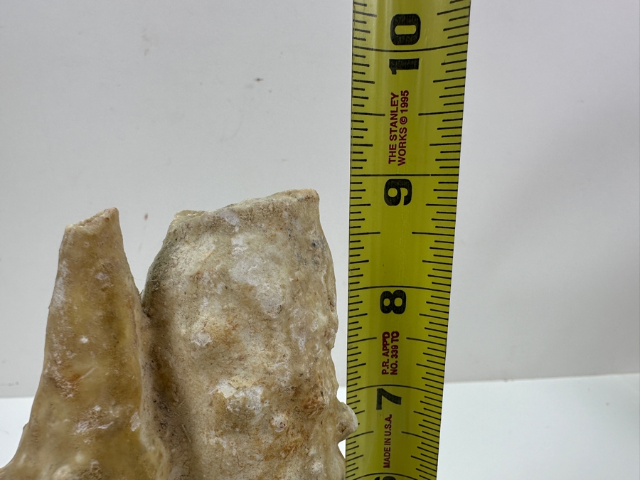 Calcite Stalagmite Specimen Organic Sculpture 9'H [Photo 8]