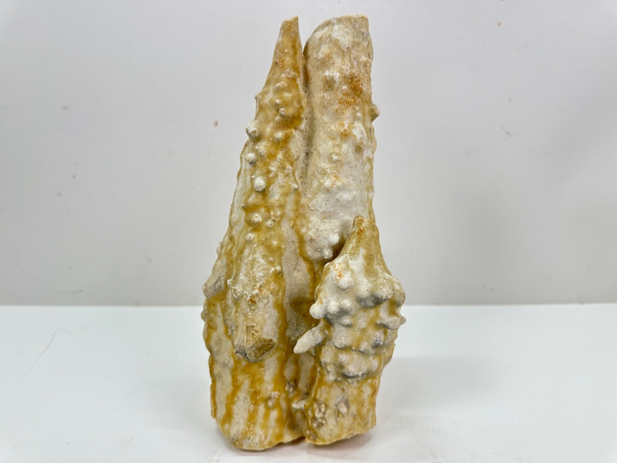 Calcite Stalagmite Specimen Organic Sculpture 9'H [Photo 3]