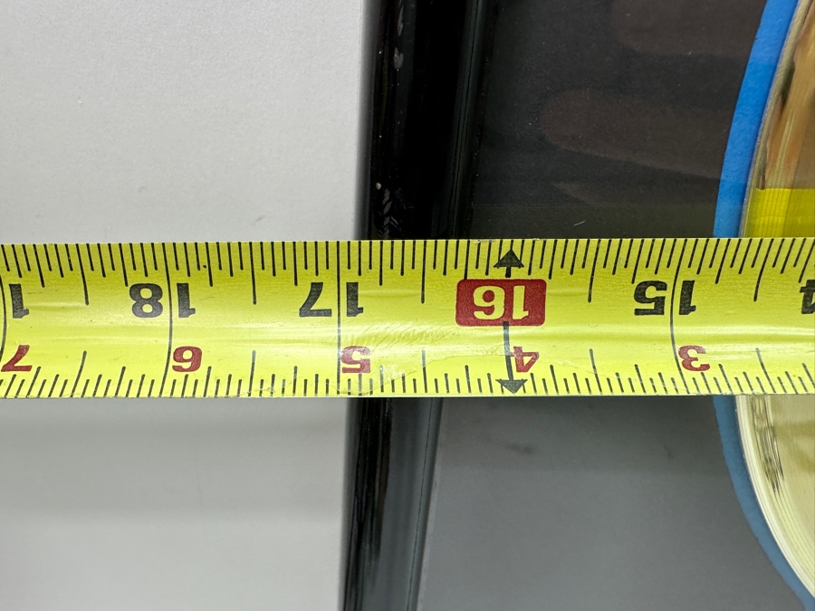 Framed Gold Record 12 Gauge Gold Sales Award Presented To Daniel Zirilli To Commemorate The Sale Of 500,000 Copies Of The Danzalot/Street Life Records 'Dunkie Butt Please Please Please' Framed 17 X 21 [Photo 10]