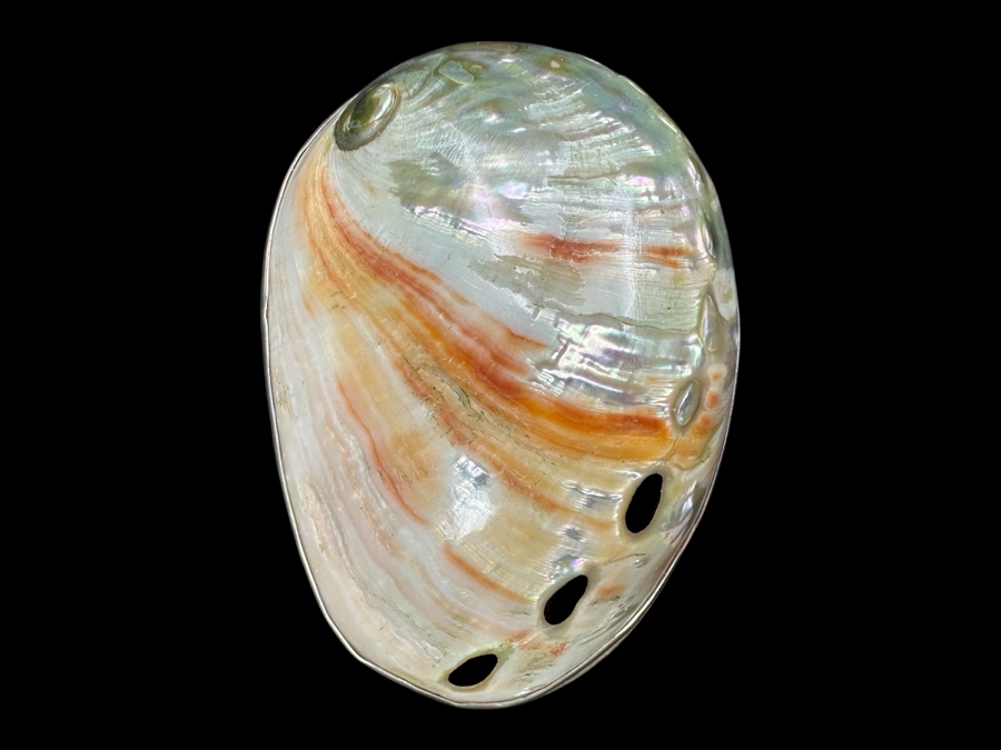 Sterling Silver Framed Abalone Shell Pendant 35.5g