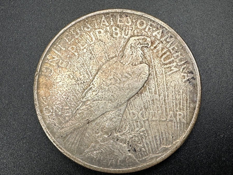1924 Peace Silver Dollar [Photo 3]
