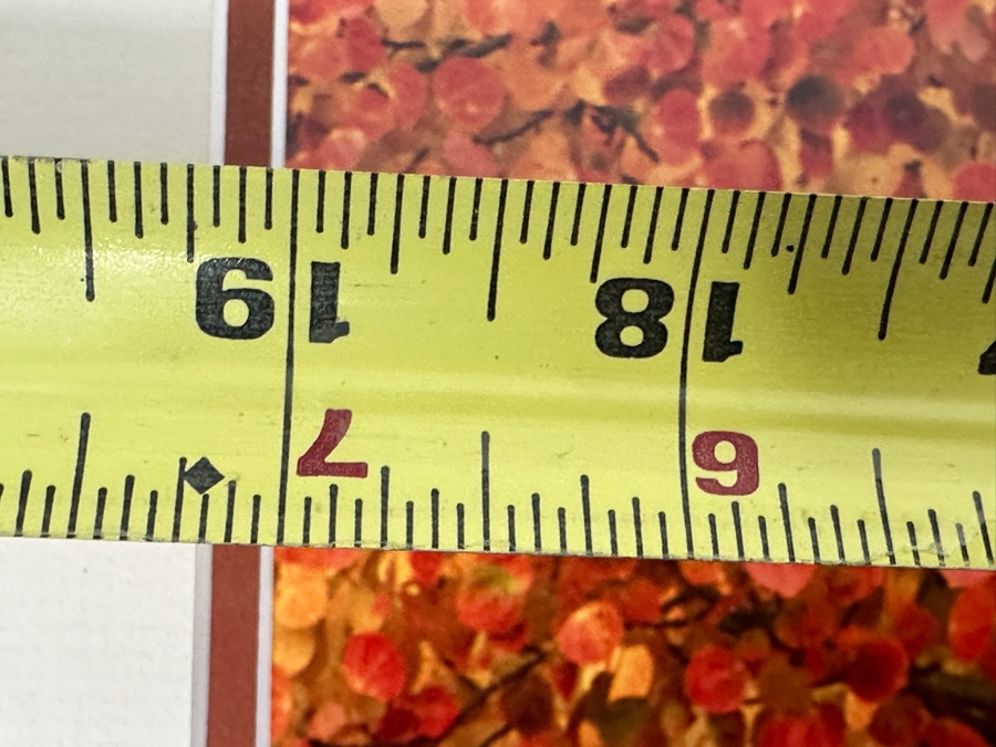 Thomas D. Mangelsen (B. 1946, American) Aspen Blaze - Grand Teton National Park, Wyoming Fine Art Photograph 19'W X 13'H Framed 31.5' X 25.5' Retails $1,300 [Photo 9]