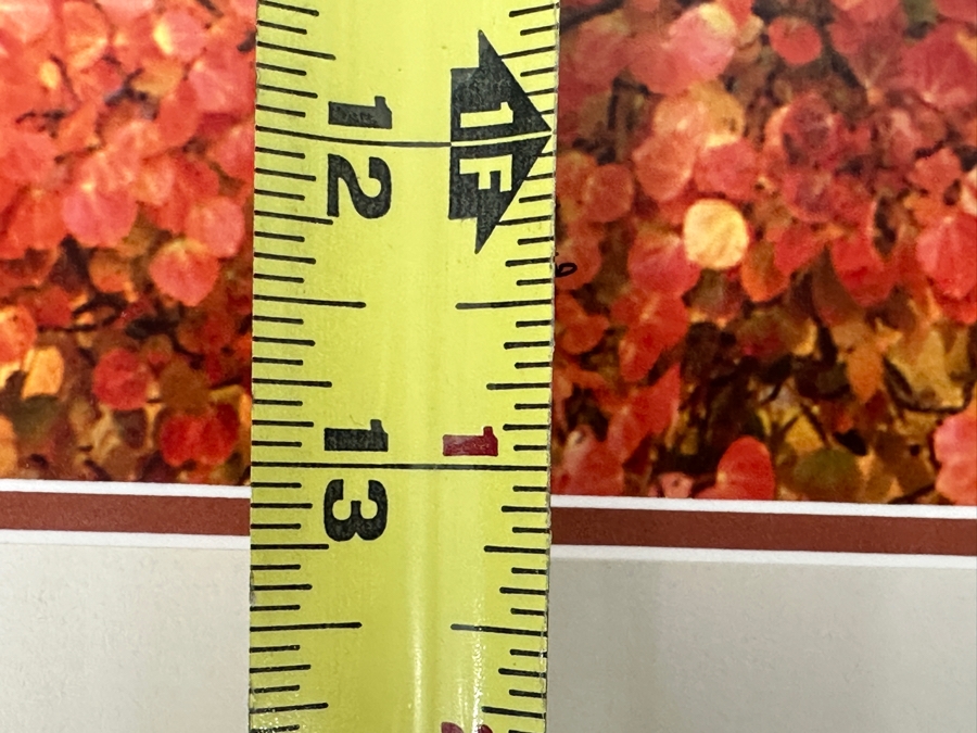 Thomas D. Mangelsen (B. 1946, American) Aspen Blaze - Grand Teton National Park, Wyoming Fine Art Photograph 19'W X 13'H Framed 31.5' X 25.5' Retails $1,300 [Photo 10]