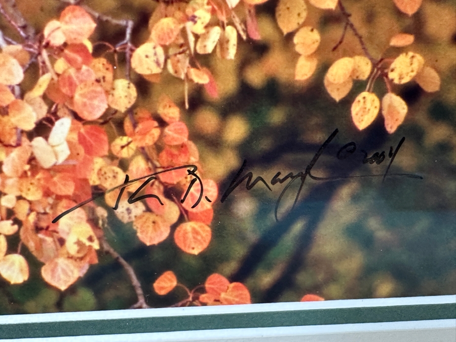 Thomas D. Mangelsen (B. 1946, American) Edge Of Fall - Grand Teton National Park, Wyoming Fine Art Photograph 19'W X 13'H Framed 31.5' X 25.5' Retails $1,000 [Photo 4]