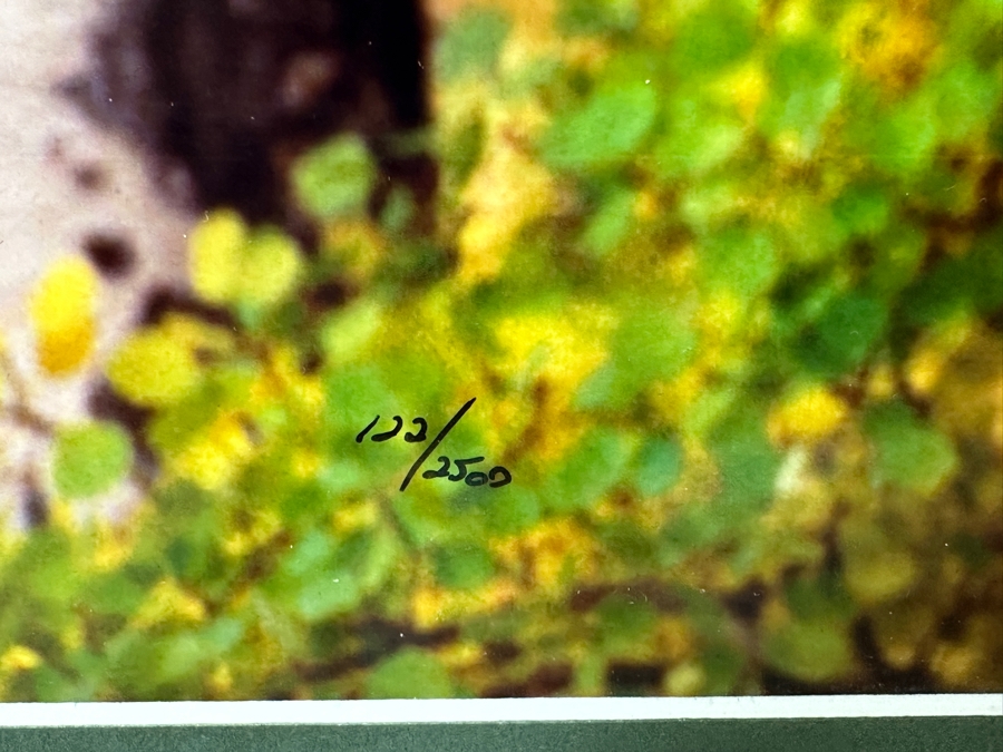 Thomas D. Mangelsen (B. 1946, American) Edge Of Fall - Grand Teton National Park, Wyoming Fine Art Photograph 19'W X 13'H Framed 31.5' X 25.5' Retails $1,000 [Photo 5]