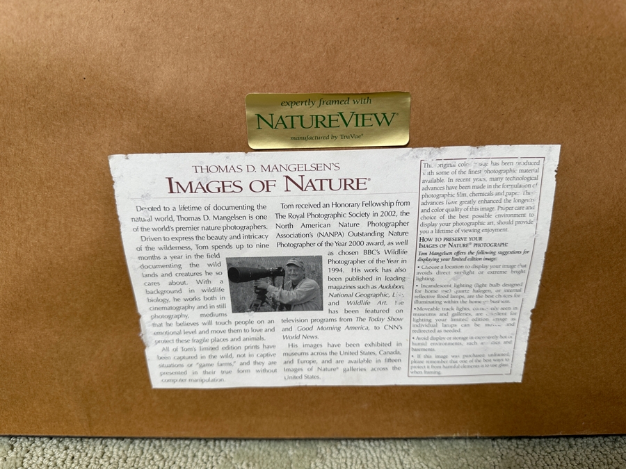 Thomas D. Mangelsen (B. 1946, American) Edge Of Fall - Grand Teton National Park, Wyoming Fine Art Photograph 19'W X 13'H Framed 31.5' X 25.5' Retails $1,000 [Photo 7]