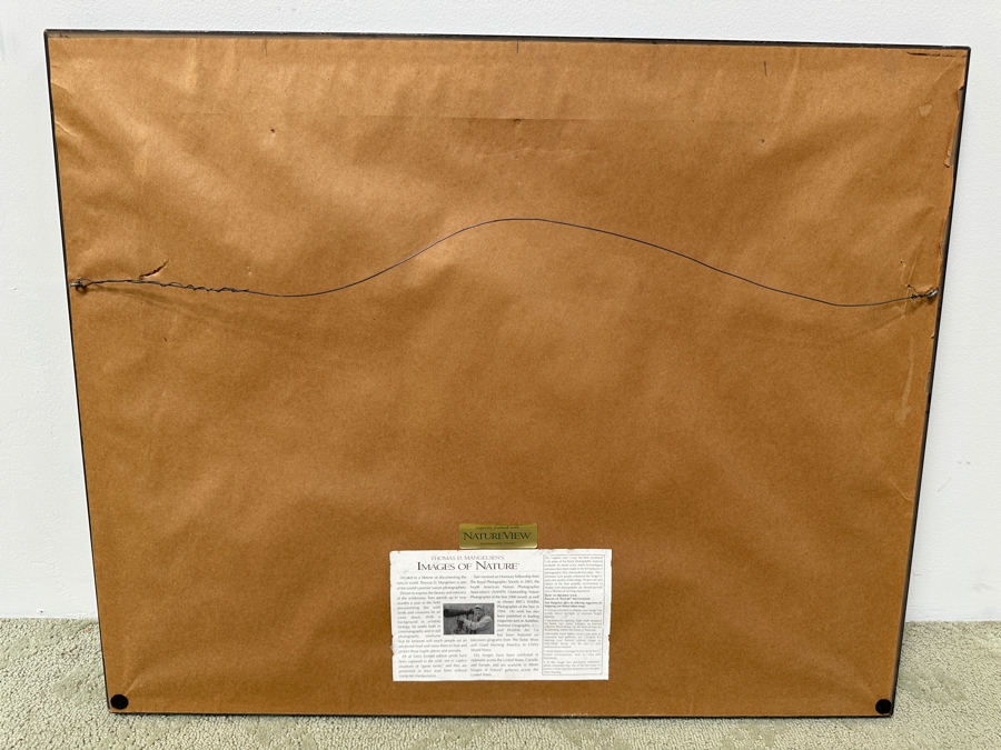 Thomas D. Mangelsen (B. 1946, American) Edge Of Fall - Grand Teton National Park, Wyoming Fine Art Photograph 19'W X 13'H Framed 31.5' X 25.5' Retails $1,000 [Photo 6]