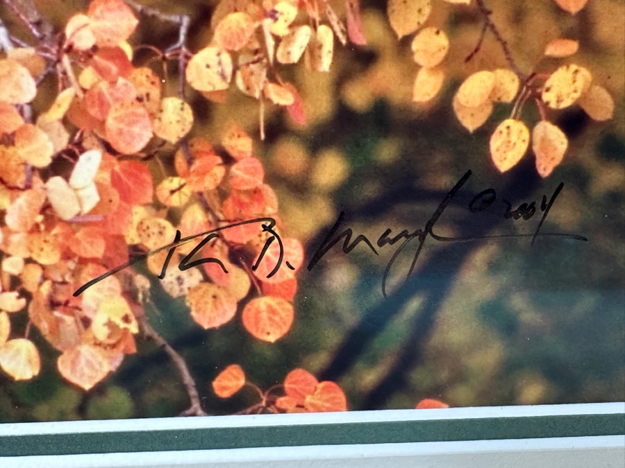 Thomas D. Mangelsen (B. 1946, American) Edge Of Fall - Grand Teton National Park, Wyoming Fine Art Photograph 19'W X 13'H Framed 31.5' X 25.5' Retails $1,000 [Photo 3]