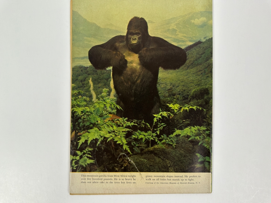 Dell Comics Edgar Rice Burrough's Tarzan #23 Vintage 1951 10 Cent Comic Book [Photo 2]