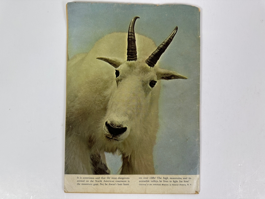 Dell Comics The Long Ranger #39 Vintage 1951 10 Cent Comic Book [Photo 3]