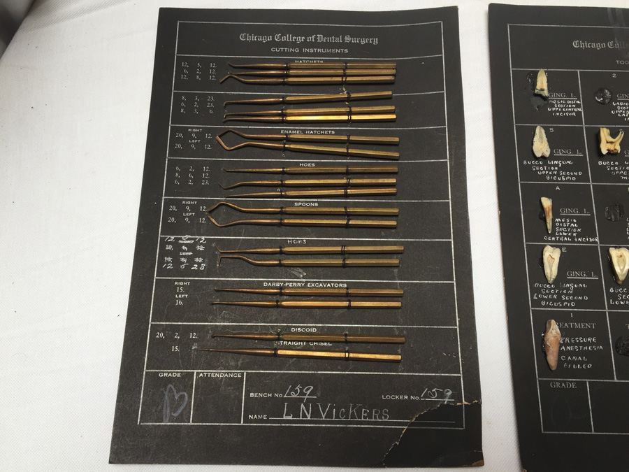 Chicago College of Dental Surgery School Projects Showing Tooth Sections and Dental Cuting Instruments Dating Around 1915 [Photo 3]