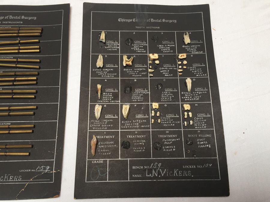 Chicago College of Dental Surgery School Projects Showing Tooth Sections and Dental Cuting Instruments Dating Around 1915 [Photo 2]