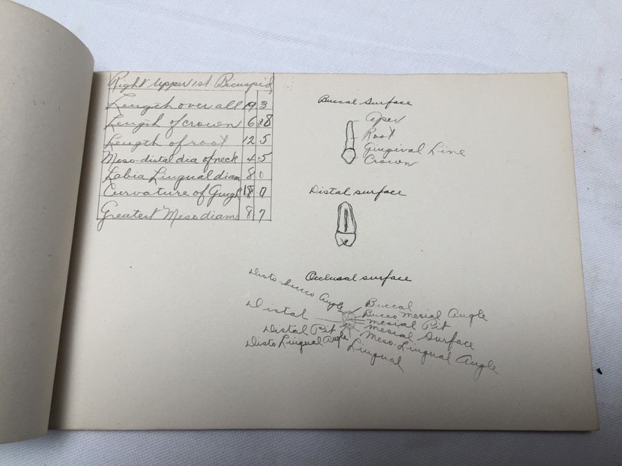 Dental School Sketches Around 1915 [Photo 3]