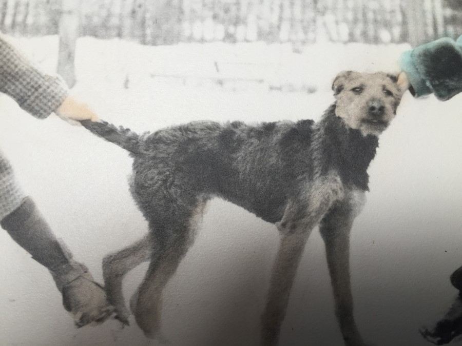 Vintage 1936 Hand Colored B&W Photograph  [Photo 5]