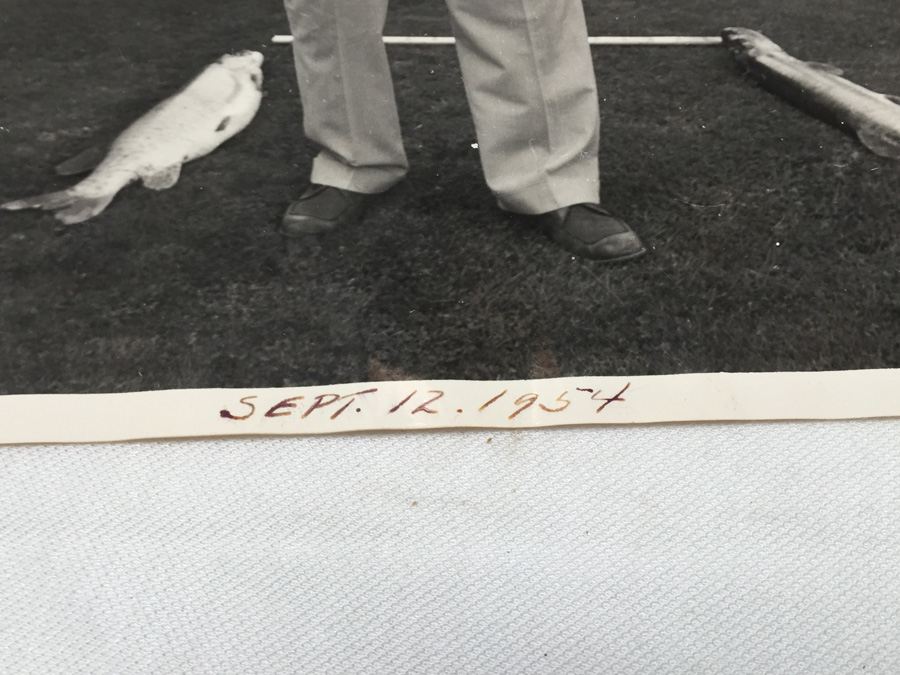 Vintage B&W Large Muskogee Fish [Photo 2]