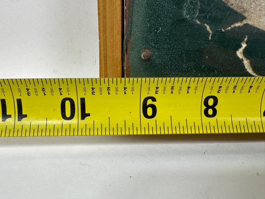 Framed Fish Fossil 9.5' x 6' [Photo 7]