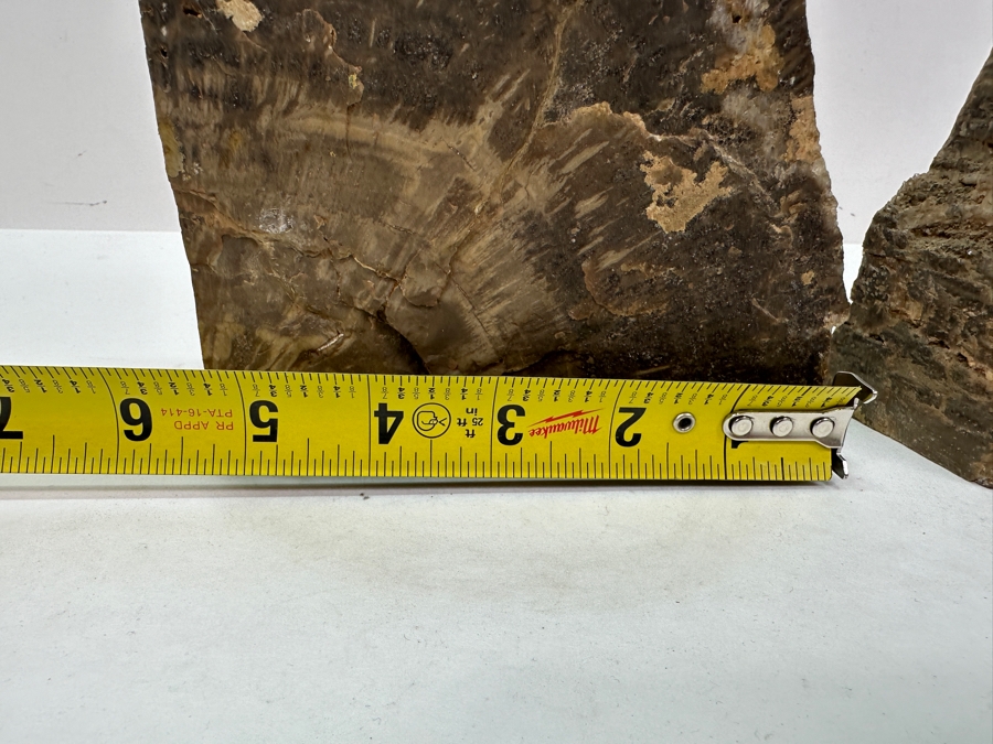 Pair of Petrified Wood Bookends 5.5'W x 6'H [Photo 8]