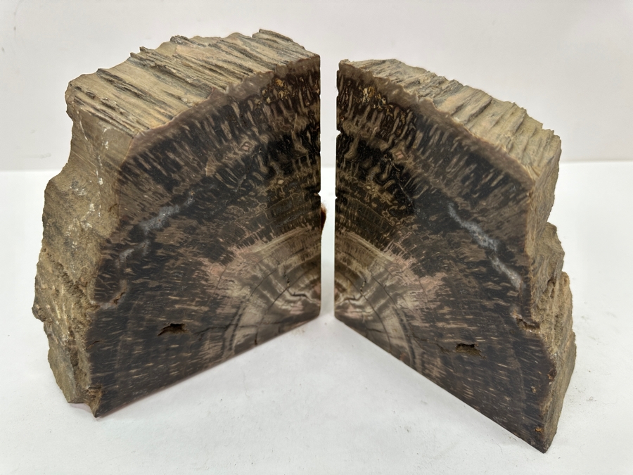 Pair of Petrified Wood Bookends 5.5'W x 6'H [Photo 5]
