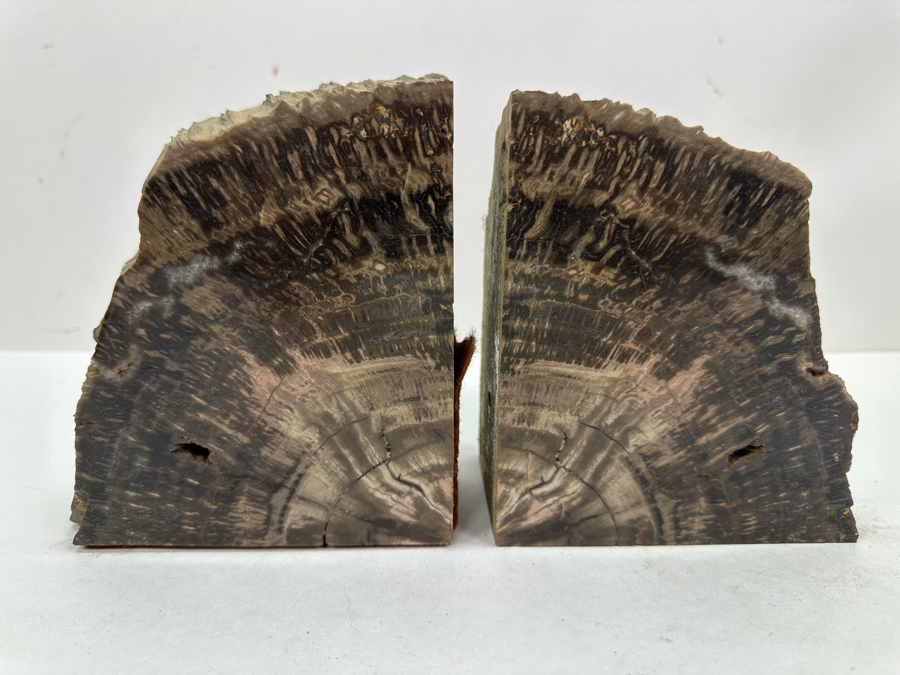Pair of Petrified Wood Bookends 5.5'W x 6'H [Photo 2]