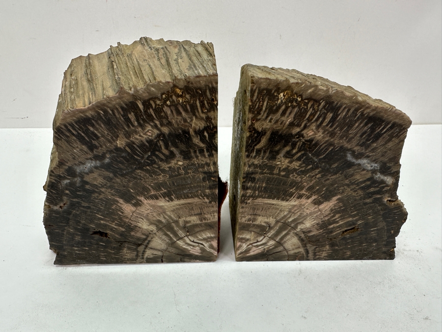 Pair of Petrified Wood Bookends 5.5'W x 6'H [Photo 3]